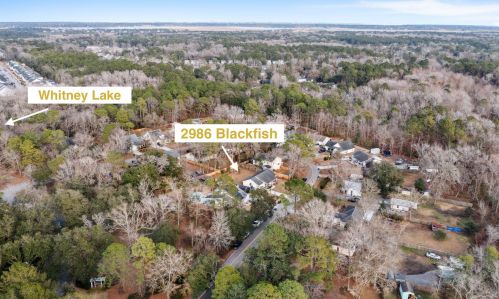 2986 Blackfish Rd, Johns Island SC  29455-3902 exterior