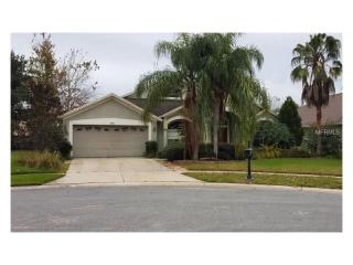 4106 Angel Wing Ct, Lutz, FL 33558-2726