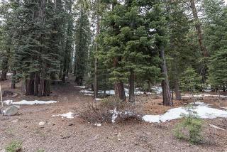 11768 Chamonix Rd, Truckee, CA 96161-6414