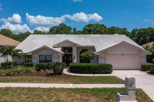 3906 Tarian Ct, Palm Harbor, FL 34684-2473