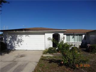 3023 Roxbury Dr, Tarpon Springs, FL 34691-4728