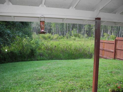 18717 Hamilton St, Lutz FL  33549-3820 exterior