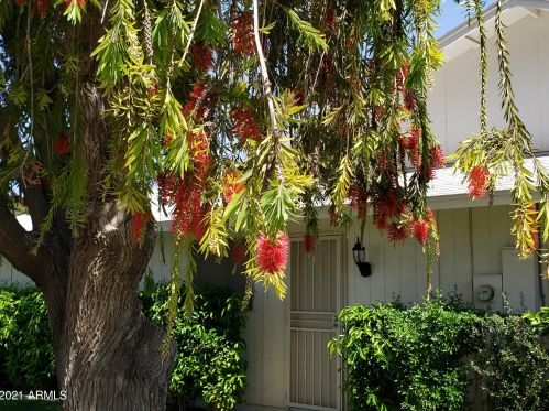 18803 Concho Cir, Sun City AZ 85373-1202 exterior