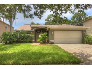12929 Royal George Ave, Odessa, FL 33556-5710