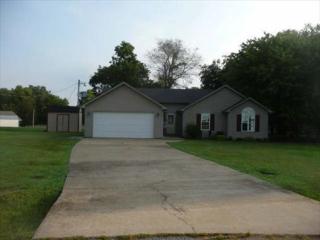 44 Rae Cv, Medina, TN 38355-9804
