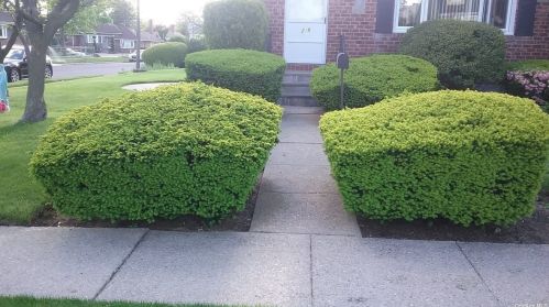 218 Clement Ave, Floral Park NY  11003-2706 exterior