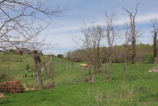 6 Fairway Ct, Daleville, VA 24083-2719