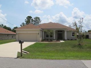 40 Persimmon Dr, Palm Coast FL  32164-7450 exterior
