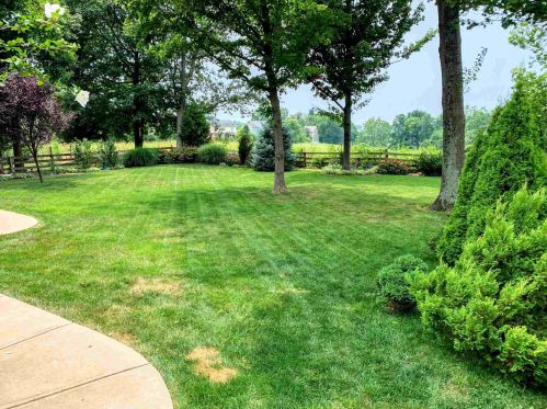 9221 Tranquility Dr, Florence KY  41042-9694 exterior