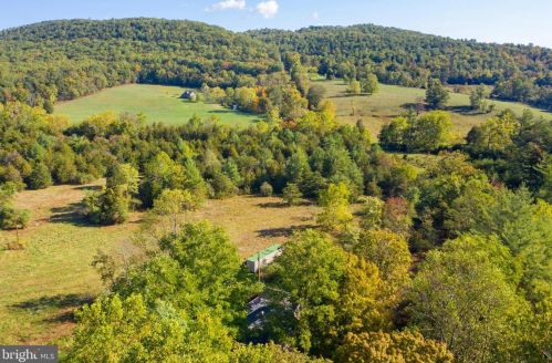 1788 Dellinger Gap Rd, Edinburg VA  22824-2503 exterior