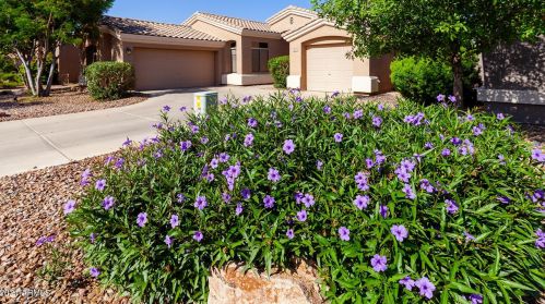 3650 Tower Ave, Chandler, AZ 85286-2672