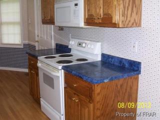 432 Grape Arbor Dr, Fayetteville NC  28312-7205 exterior