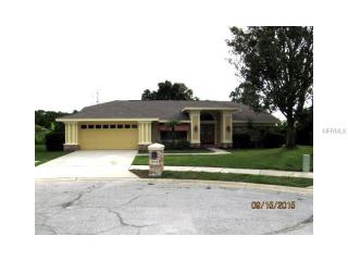 3618 Cross Creek Ct, Tarpon Springs, FL 34691-2503