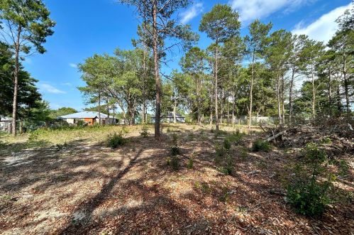 91 Oakridge Way, Defuniak Springs FL  32433-8168 exterior