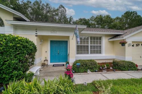 1115 Mistwood Dr, Tarpon Springs, FL 34688-9209