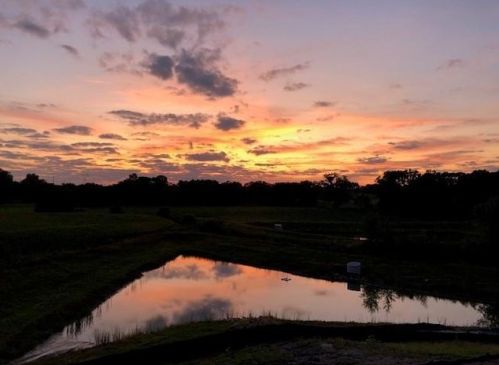 1473 Clover Preserve Ln, Chaska MN exterior