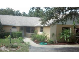 28709 Shirley Shores Rd, Tavares, FL 32778-9330