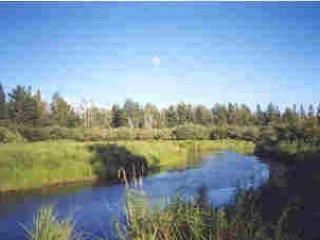 8540 Mercer Lake Rd, Minocqua, WI 54548-9519