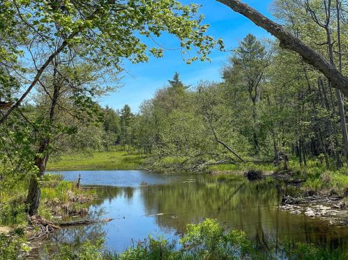 35 Maurer Ln, Sunapee, NH 03782-3200