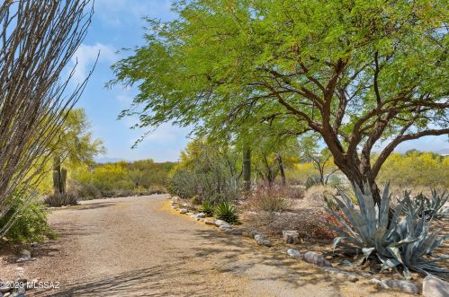 4005 Javelina Run Trl, Tucson, AZ 85730-5691