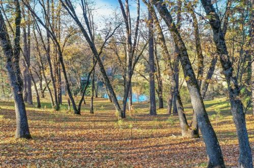 13940 Lodestar Dr, Grass Valley CA  95949-8362 exterior