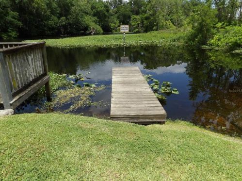 23936 Armadillo Rd, Astor FL  32102-2606 exterior