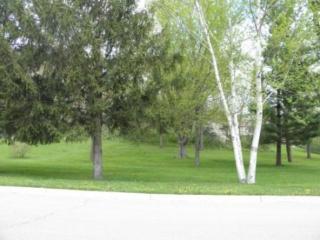 2125 Hiersche Rd, Faribault, MN 55021-2209