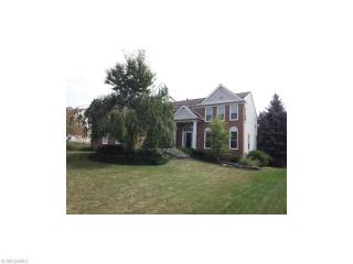 2190 White Marsh Dr, Twinsburg, OH 44087-2810