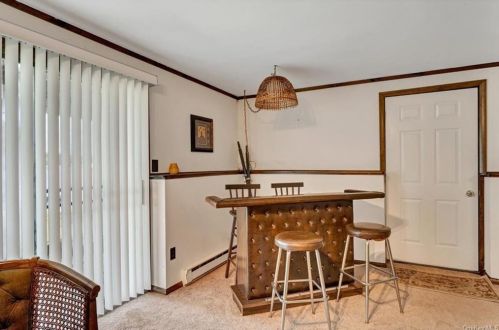 205 Lake Shore Dr, Rock Hill NY  12775-6520 exterior