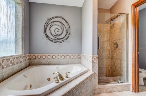 22528 Southshore Dr, Land O Lakes FL  34639-4726 exterior