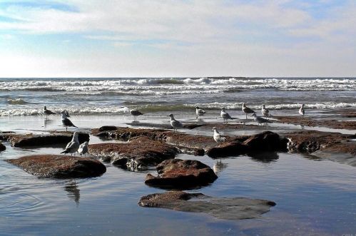 7219 San Benito St, Carlsbad CA  92011-4614 exterior