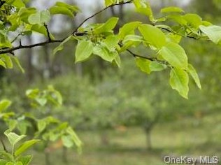 145 Vassar Rd, Poughkeepsie NY  12603-5449 exterior