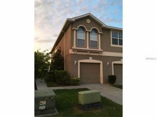 8820 Moonlit Meadows Loop, Riverview, FL 33578-8836