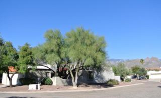 4518 Mountain Quail Rd, Tucson, AZ 85750-6204