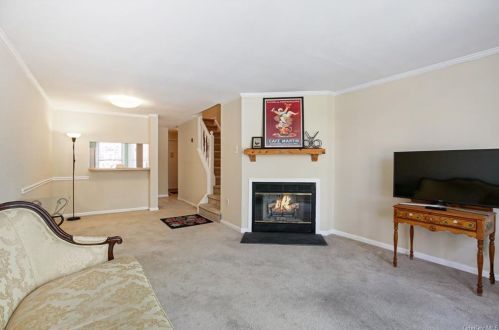 49 Washington Mews, Rye Brook, NY 10573-3948