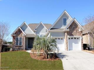 1021 Sparkle Stream Ct, Belville, NC 28451-4214