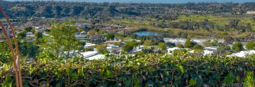 6950 51st St, San Diego, CA 92120-1212