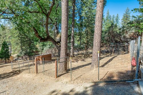 6466 Coe Ct, Michigan Bluff CA  95631-9663 exterior