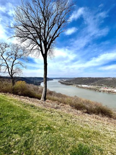 2926 Vista Ct, Covington KY  41017-3687 exterior