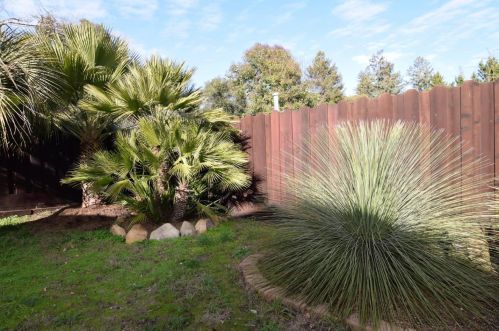 176 San Lorenzo Ave, Felton CA  95018-9232 exterior