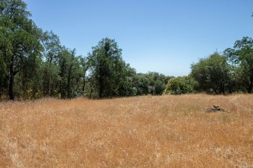 51655 Wildmint Ln, Orange Cove CA  93675-9693 exterior