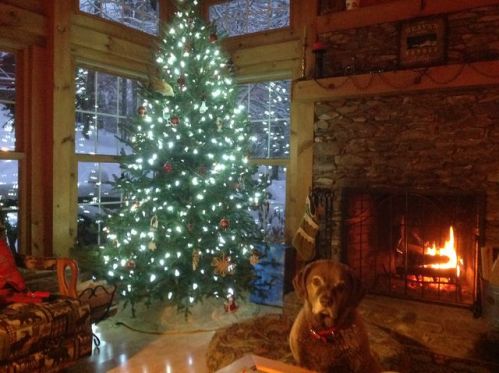 498 Thorn Tree Dr, Boone, NC 28607-8003