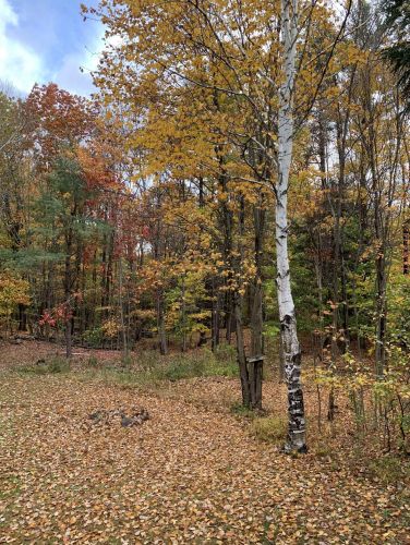 226 Dutile Rd, Belmont NH  03220-3521 exterior