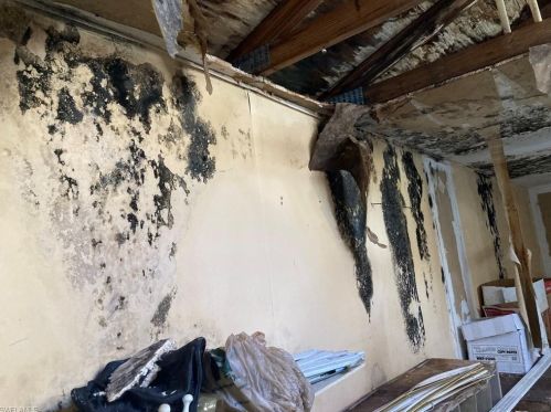 3710 24th Ave, Naples FL  34120-3546 exterior