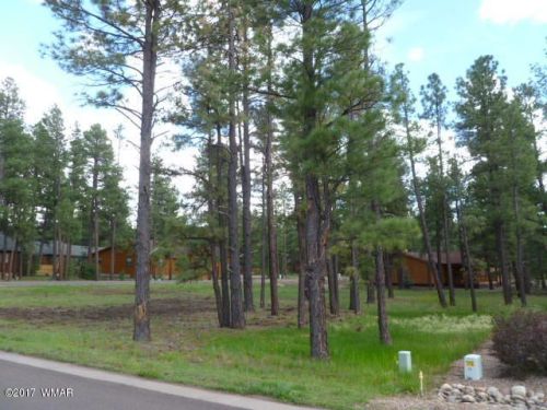 445 Osprey Ln, Pinetop, AZ 85935