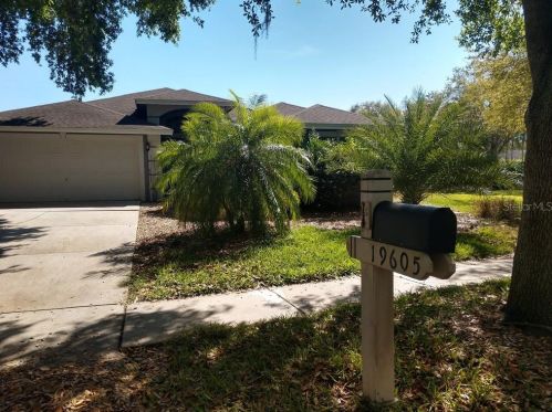 19605 Morden Blush Dr, Lutz, FL 33558-9087
