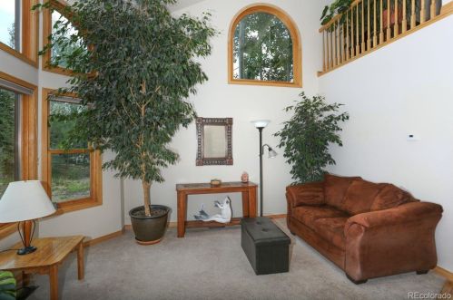 274 Soda Creek Ct, Montezuma, CO 80435-8515