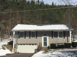 41 Prospect St, Stamford, NY 12167-1128