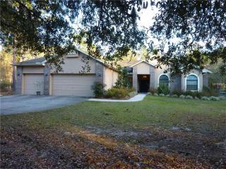 4344 Krupke Cir, Brooksville, FL 34604-8208