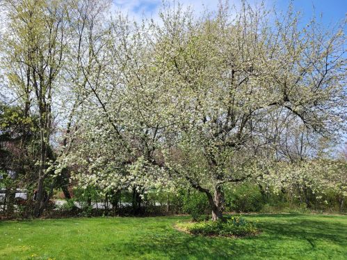 88 Wennington Dr, Poughkeepsie NY  12603-3843 exterior